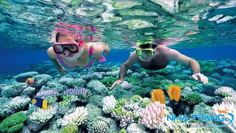 Tour 3 đảo VIP Nha Trang 1 Ngày, Trọn Gói 35 lặn biển tại Vịnh San Hô