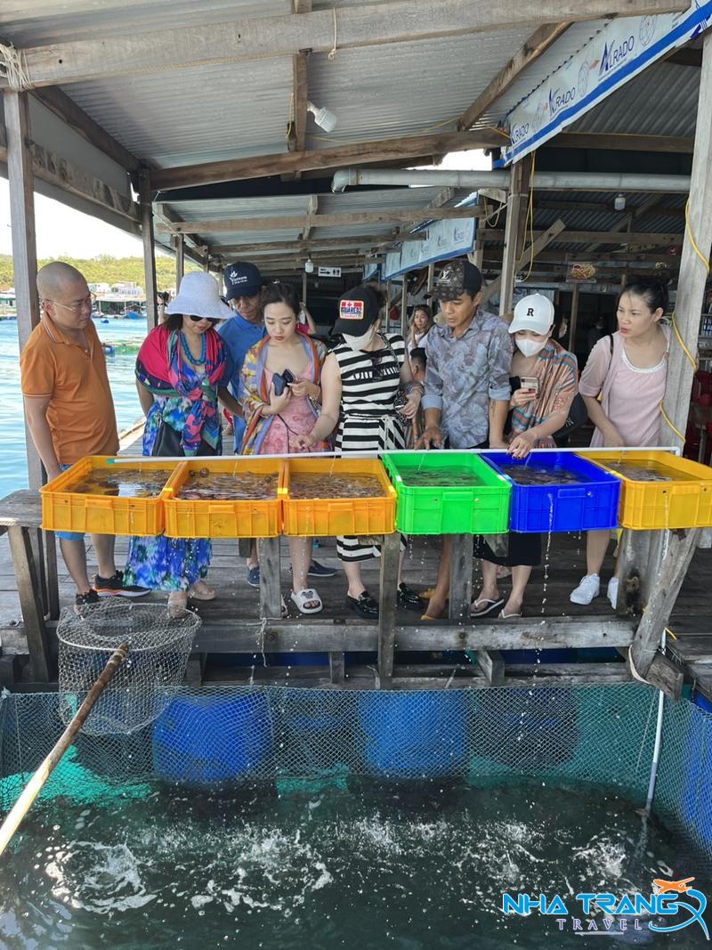 Tour 3 đảo VIP Nha Trang 1 Ngày, Trọn Gói 31 chọn hải sản tươi ngay tại bè