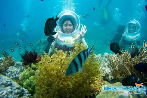 Tour đi bộ dưới biển Nha Trang