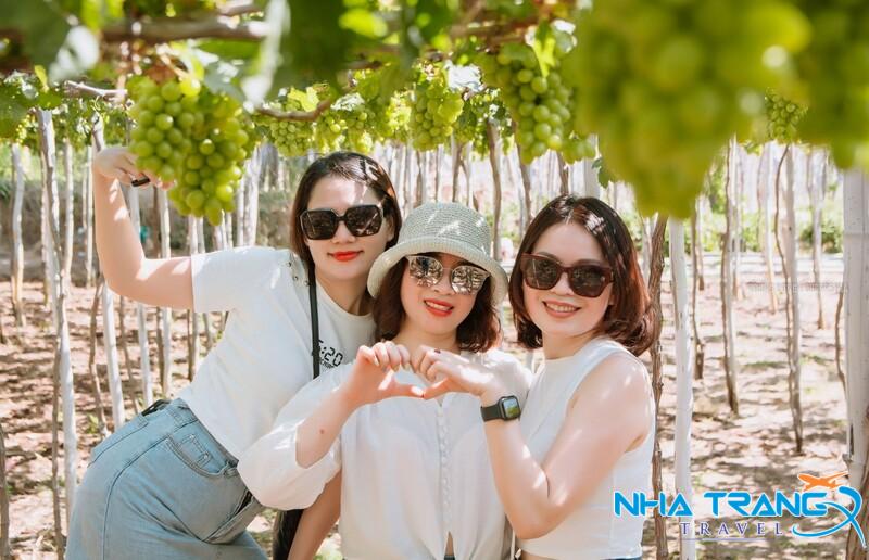 Tour Hang Rái - Vịnh Vĩnh Hy - Vườn Nho - Đồng Cừu Giá Rẻ 36 tip chụp hình với hội bạn tại vườn nho