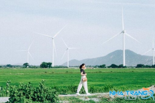 Tour Ninh Thuận từ Nha Trang 1 ngày
