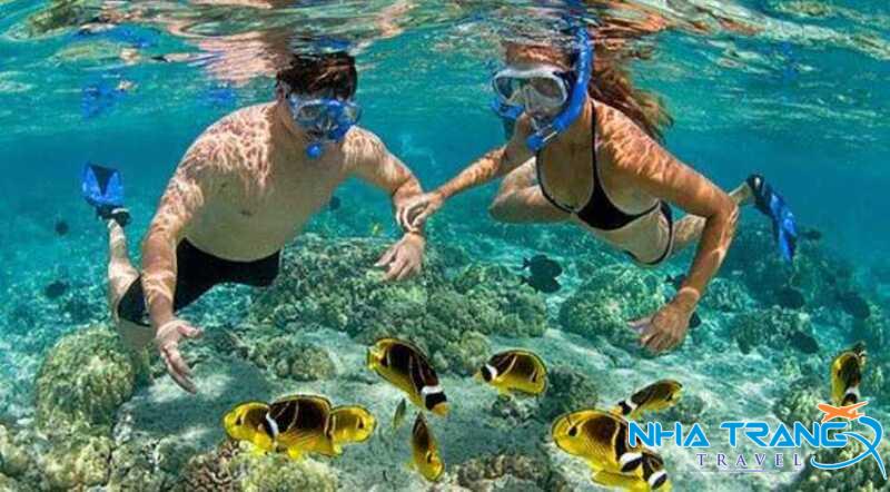Tour Vịnh San Hô Làng Chài Bãi Tranh Nha Trang 1 Ngày Giá Rẻ 12 kính bơi và ống thở (snorkeling)