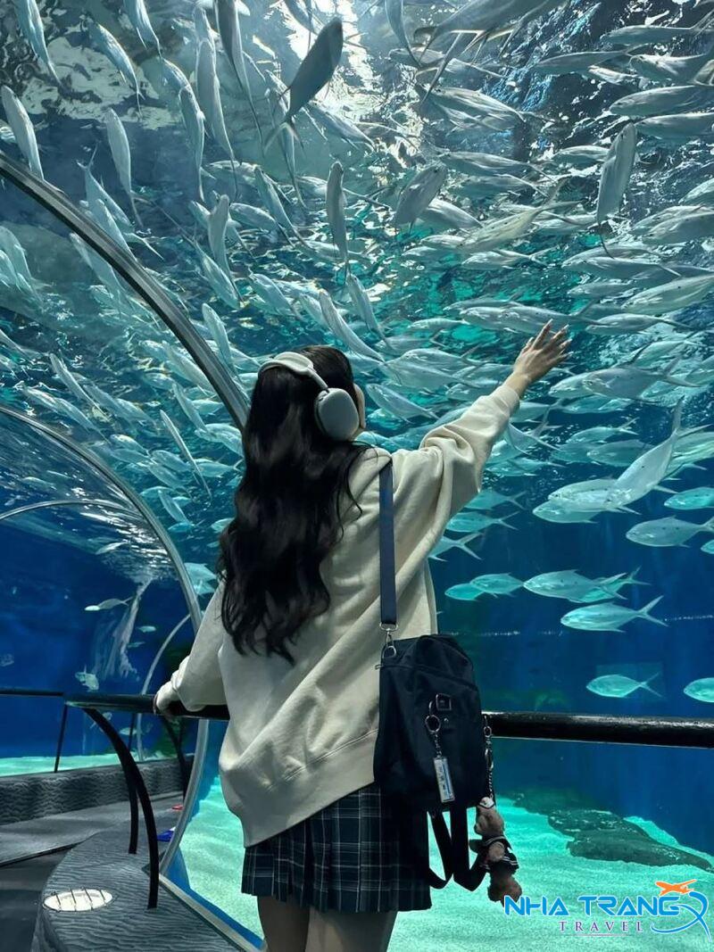 Vinpearl Nha Trang Có Gì Chơi? Trò Chơi Và Hoạt Động Thú Vị 42 Thủy cung Cung điện Hải Vương, một trong những thủy cung hiện đại