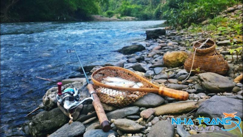 Kinh Nghiệm Picnic Suối Đá Bàn Nha Trang Chi Tiết Từ A Tới Z 14 Câu cá ở suối và thưởng thức thành phẩm tại chỗ cực đã