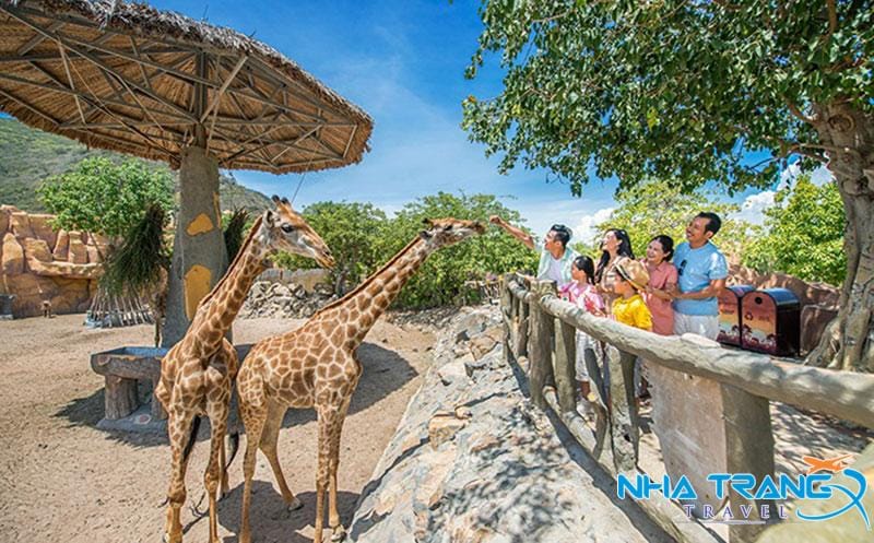 Review Vườn Quý Vương Vinpearl Nha Trang - King's Garden Chi tiết 13 Tương tác, check in cùng hươu trong khu vườn