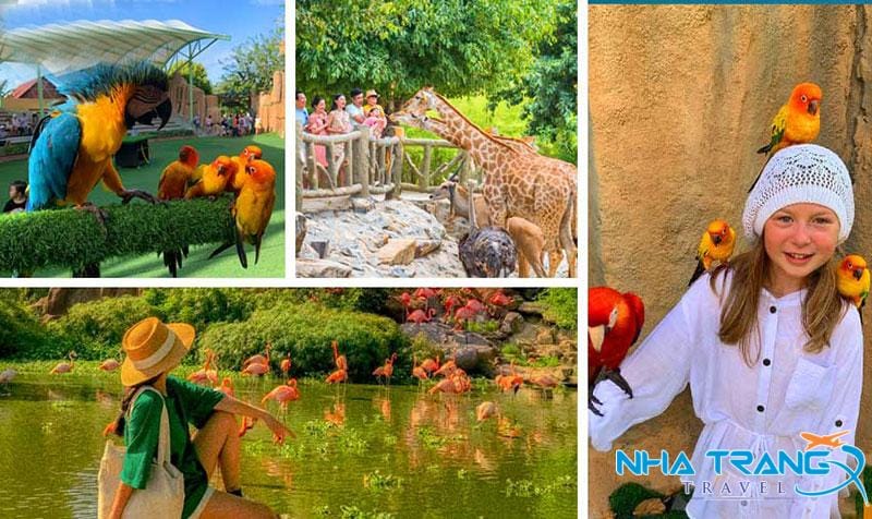 Review Vườn Quý Vương Vinpearl Nha Trang - King's Garden Chi tiết 15 Ưu tiên diện trang phục rực rỡ để sống ảo đẹp mắt với các khung cảnh ở khu vườn
